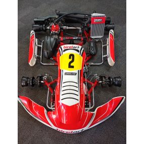 Kart gebraucht Birel DD2 Weltfinale Rotax #2 komplett 