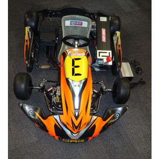 Kart gebraucht CRG Puffo Elektro 48V  