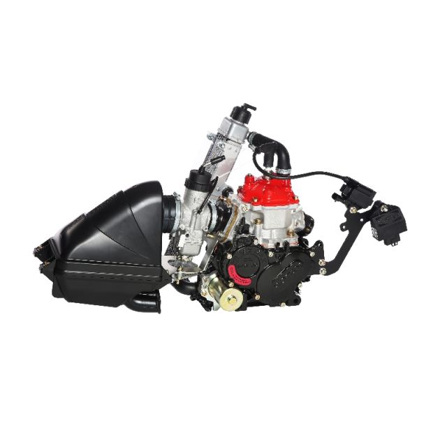 Motor Rotax Micro Max evo  